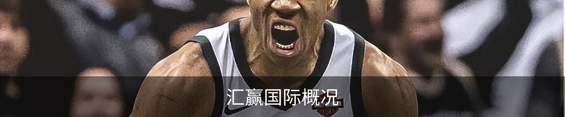 汇赢国际概况