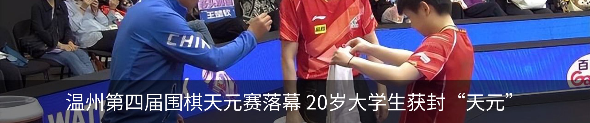 新闻动态